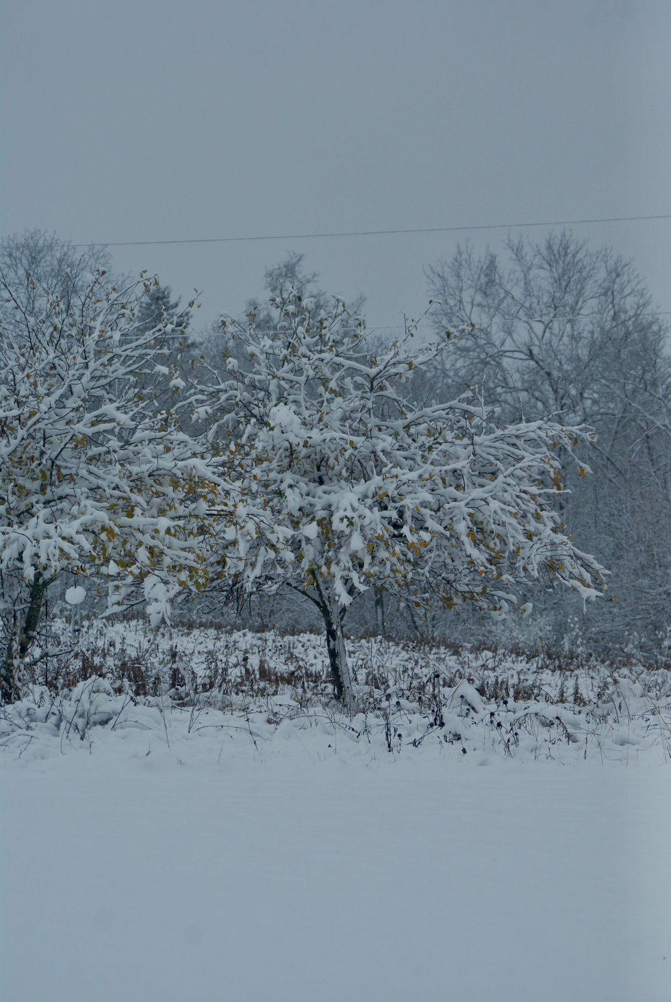 DSC00069