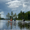 VLM Harvest Updates and Protecting our Lakes During the 90-Miler