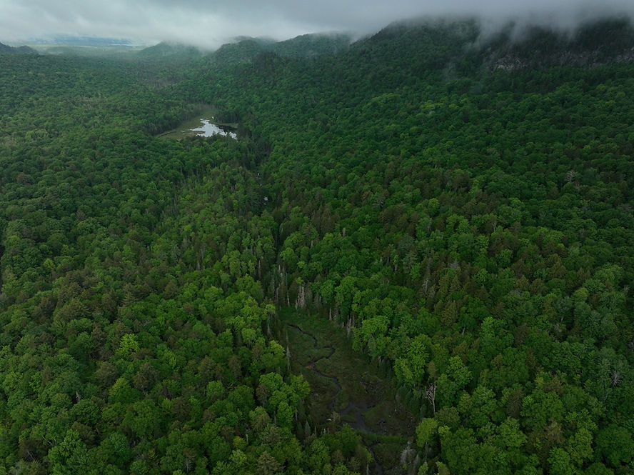 dji_fly_20230608_065130_977_1686222512039_photo.jpeg