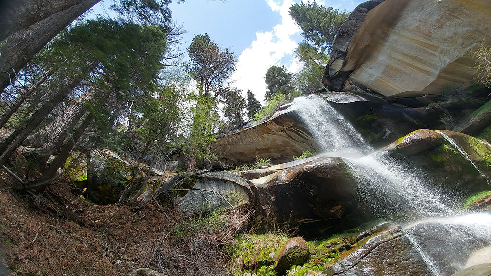 20180511_120547_HDR.jpg