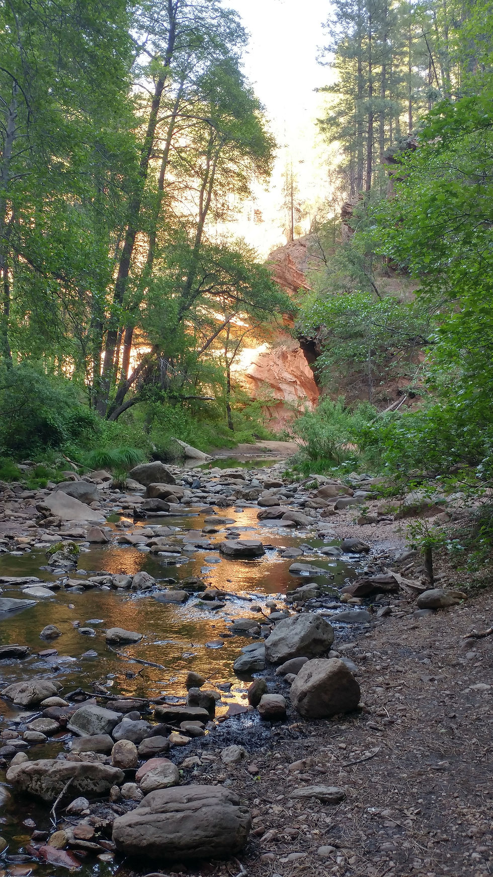 Stream in Sedona with red rock.
