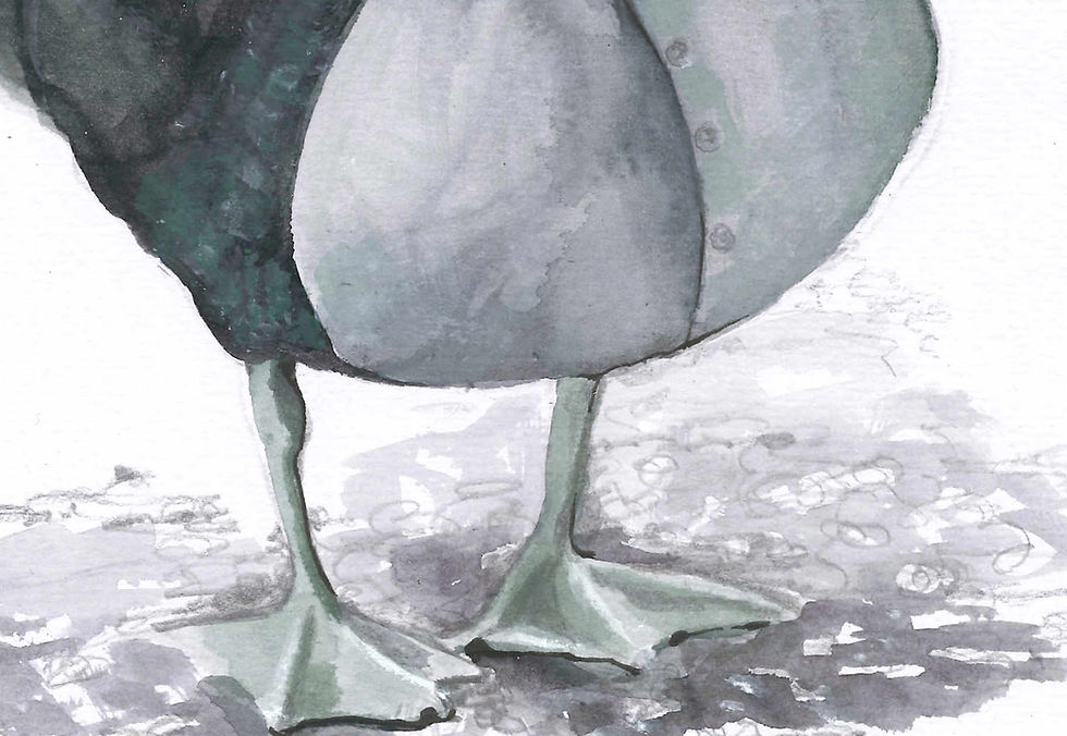 Miniature : Ronnie the dapper Duck limited edition print.