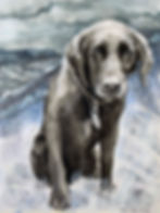 थंबनेल: Molly