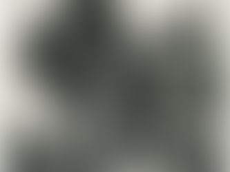 Confessions of a Holy Whore