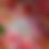 Thumbnail: Naomi Tea Lights