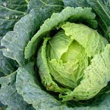 Green Cabbage - 1 head
