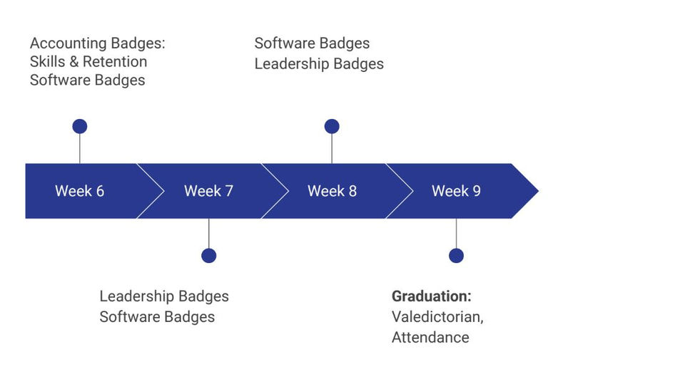 Badges 3.JPG