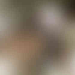 Restauratie werkzaamheden in Taipei