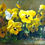 Thumbnail: Hendrika Anna Doedijns (Leeuwarden, 1942)