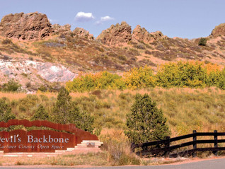 Zoom-Background-Devils-Backbone_1-scaled