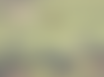 Five Areas To Focus On During A Pandemic