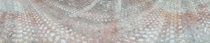 IMG_9176.jpeg
