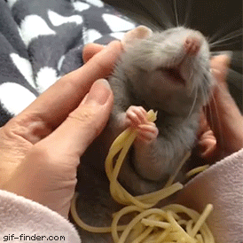 Baby-eating-spaghetti