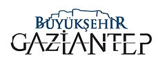 Adsız tasarım (8)_edited.jpg