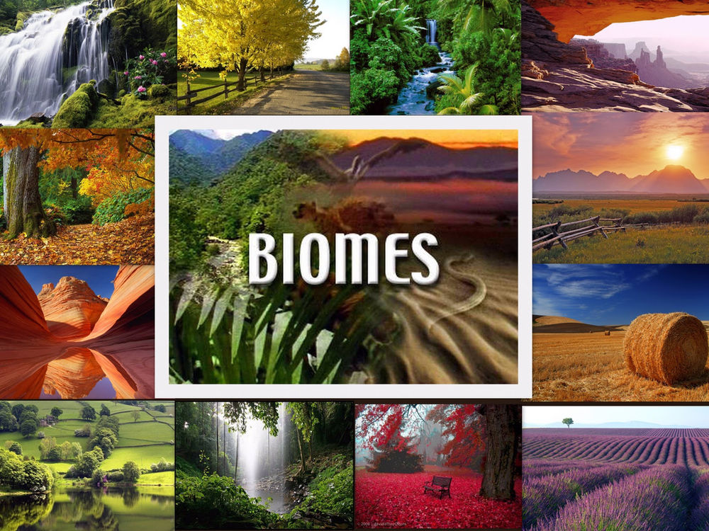 Altering Biomes