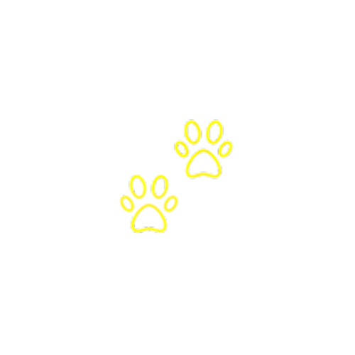 Black White Bold Modern Studio Logo.png