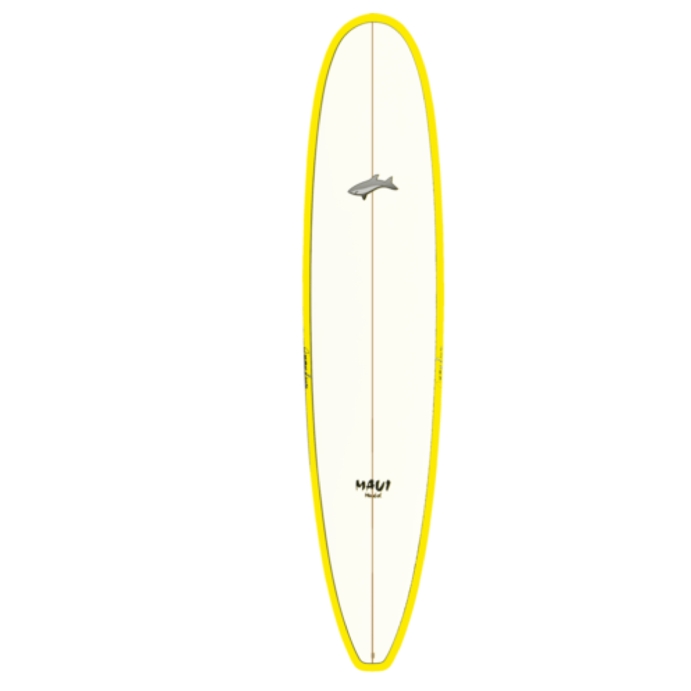 Kauai Surfboard Rental