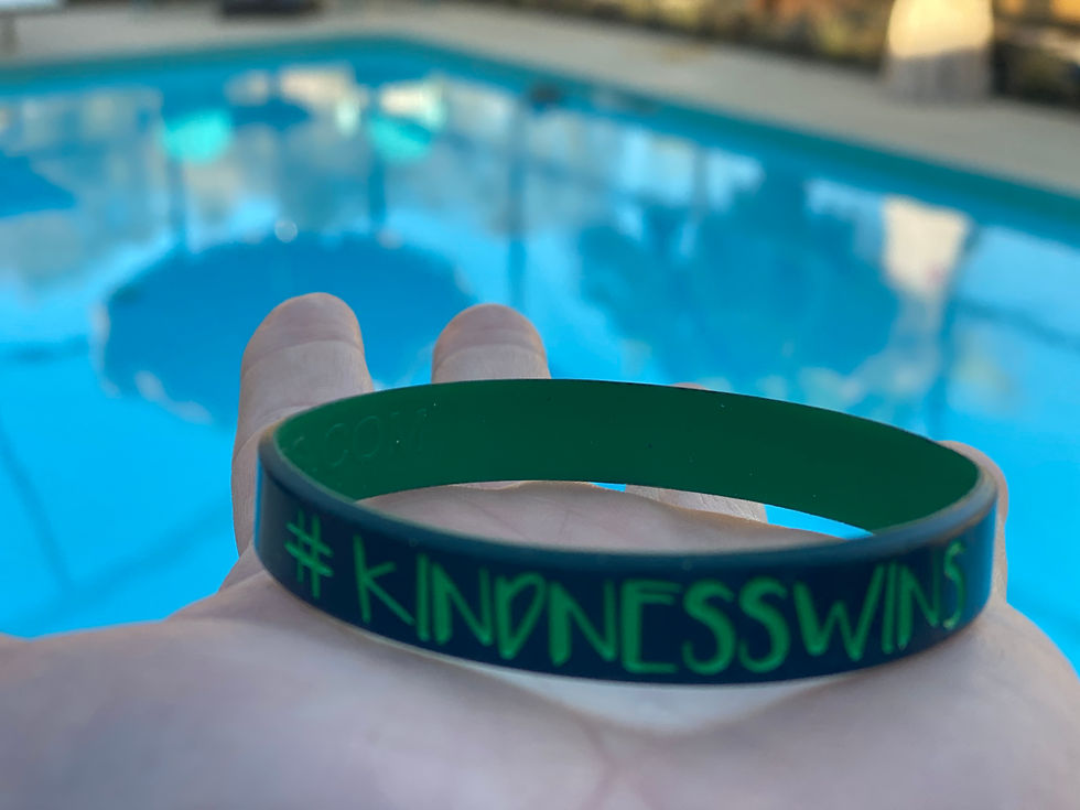#KindnessWins wristband