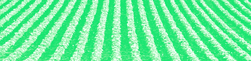 Banner quienes somos.png