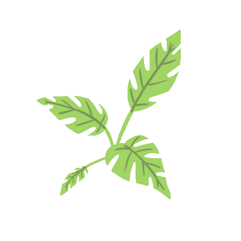 plant animation