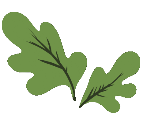 plant animation