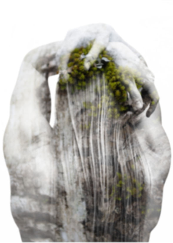 "From Moss" Giclee Print