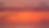 Scotty Photo 2.png