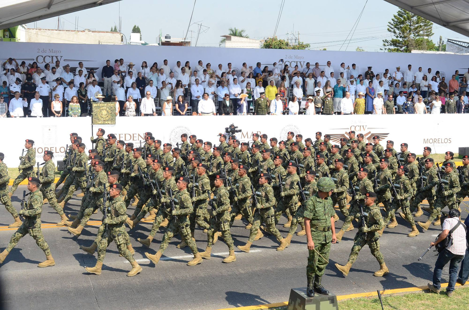 desfile5