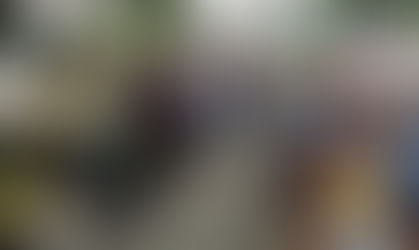 Invita Gobierno de Cuautla a la campaña de esterilización de perros y gatos este 10 y 11 de julio.