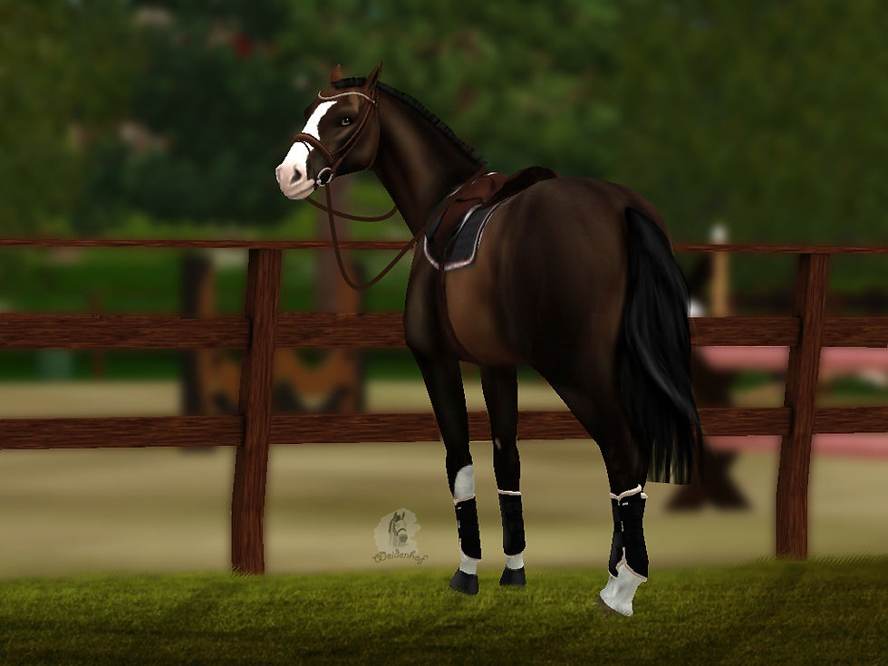 Warten aufs Training