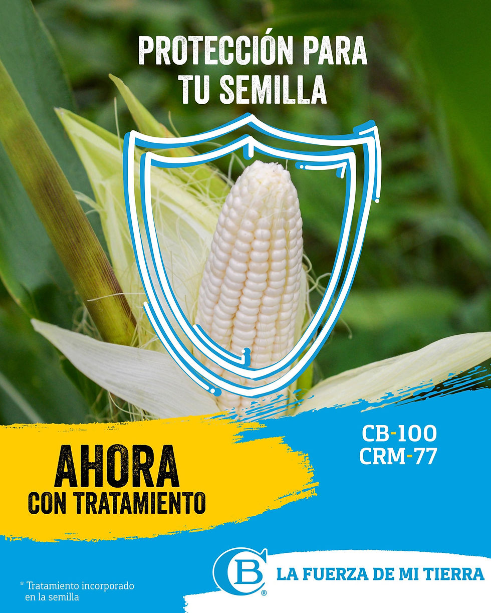 cb cv 1 (1)