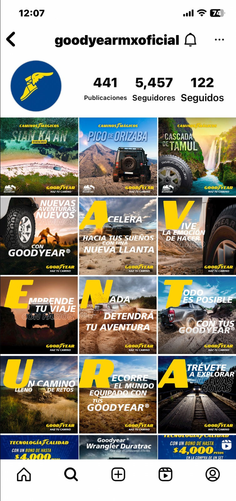 Visualización IG