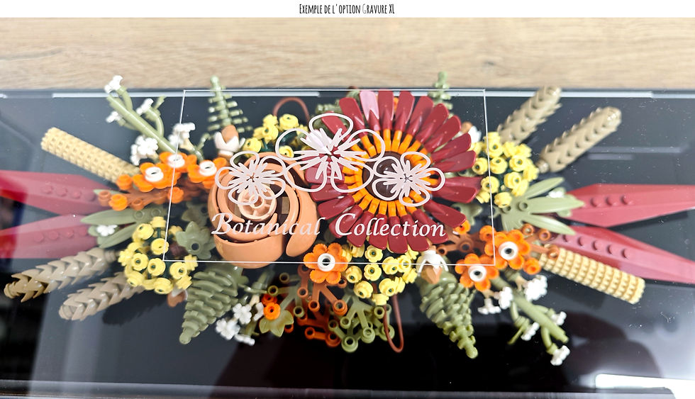 Thumbnail: Vitrine Plexiglas pour LEGO® ICONS 10314 Fleurs séchées (non inclus)