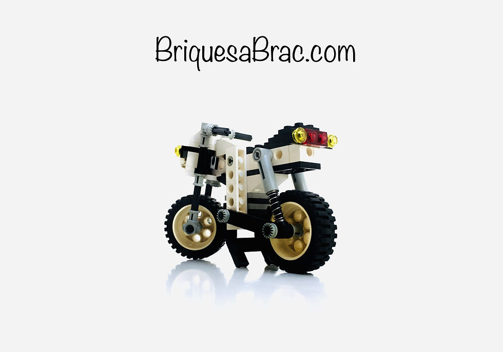 Miniature : LEGO® TECHNIC 8810 Cafe Racer