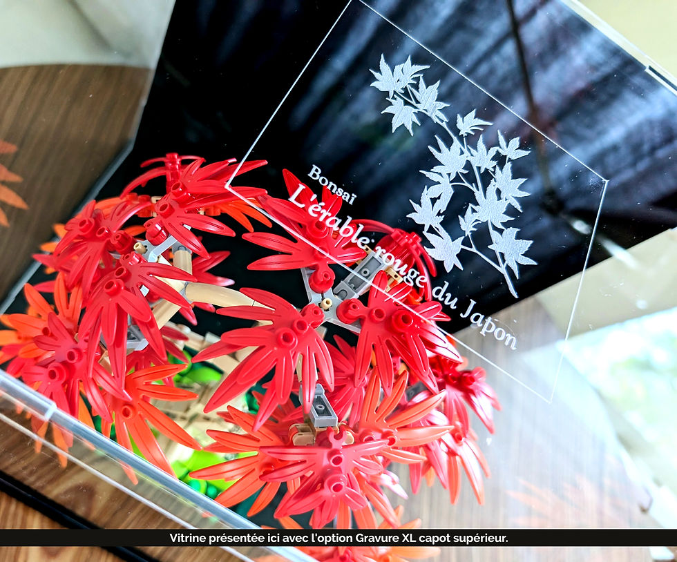 Miniature : Vitrine Plexiglas pour LEGO® 10348 L'érable Rouge du Japon (non inclus)