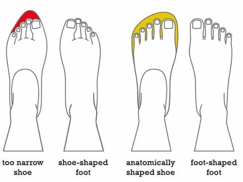 healthy feet for life