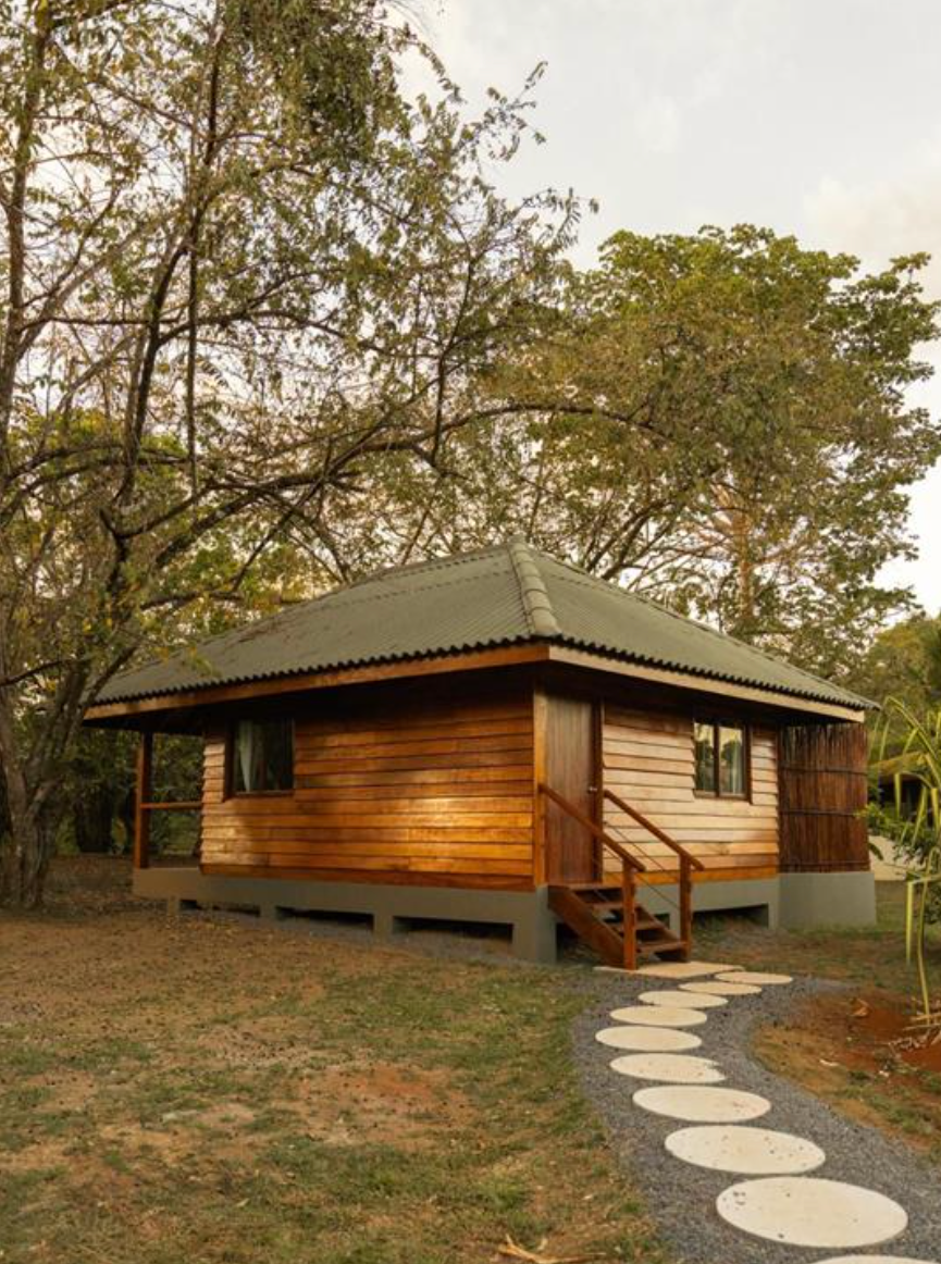 arbolita treehouse.png