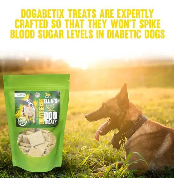 Support For Diabetic Dogs Dogabetix The last verification results, performed on (january 24, 2021) dogabetix.com show that dogabetix.com has an invalid ssl certificate. support for diabetic dogs dogabetix