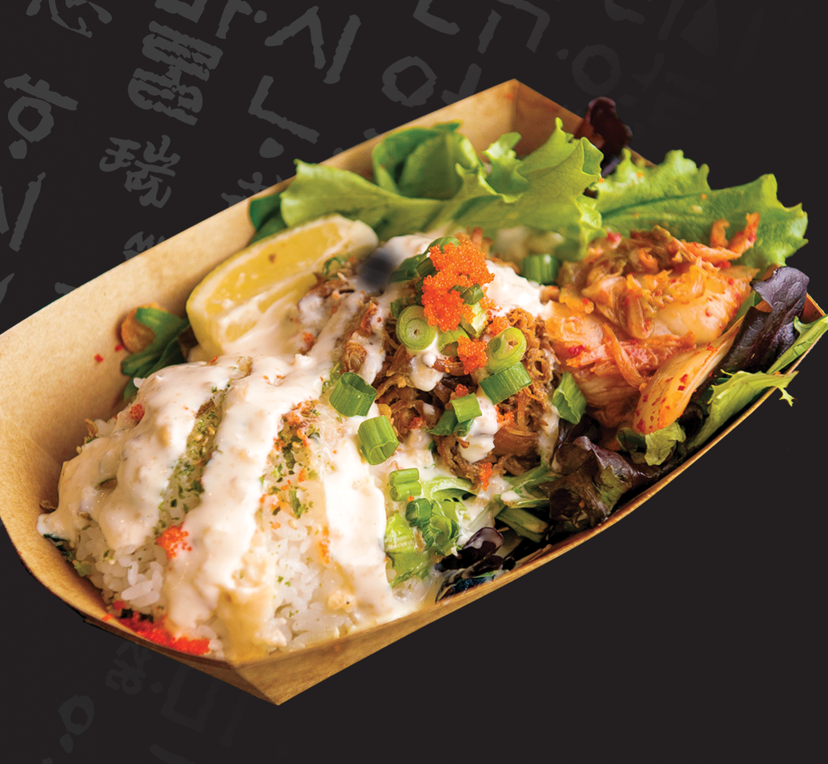 Braised Pork Bowl