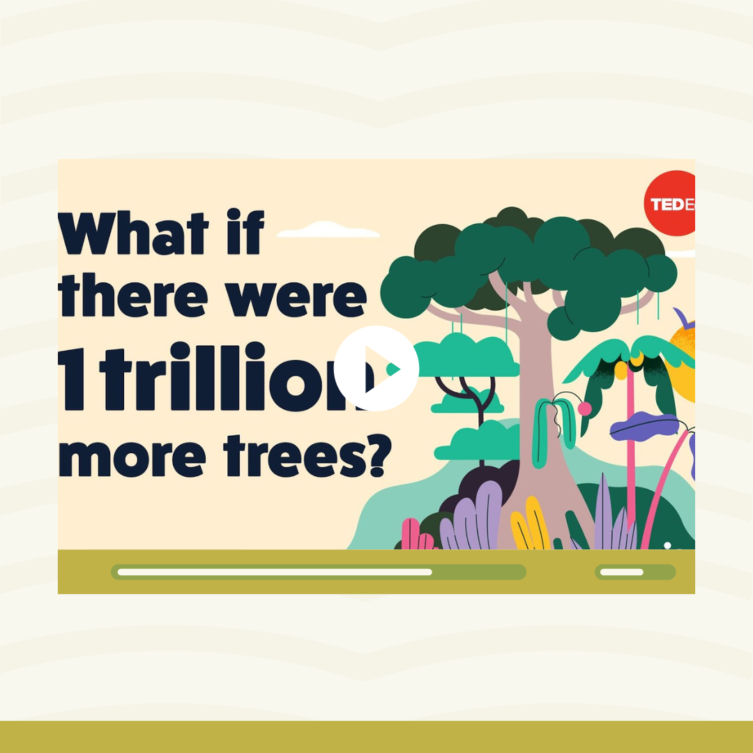 What if there were 1 trillion more trees? - Jean-François Bastin