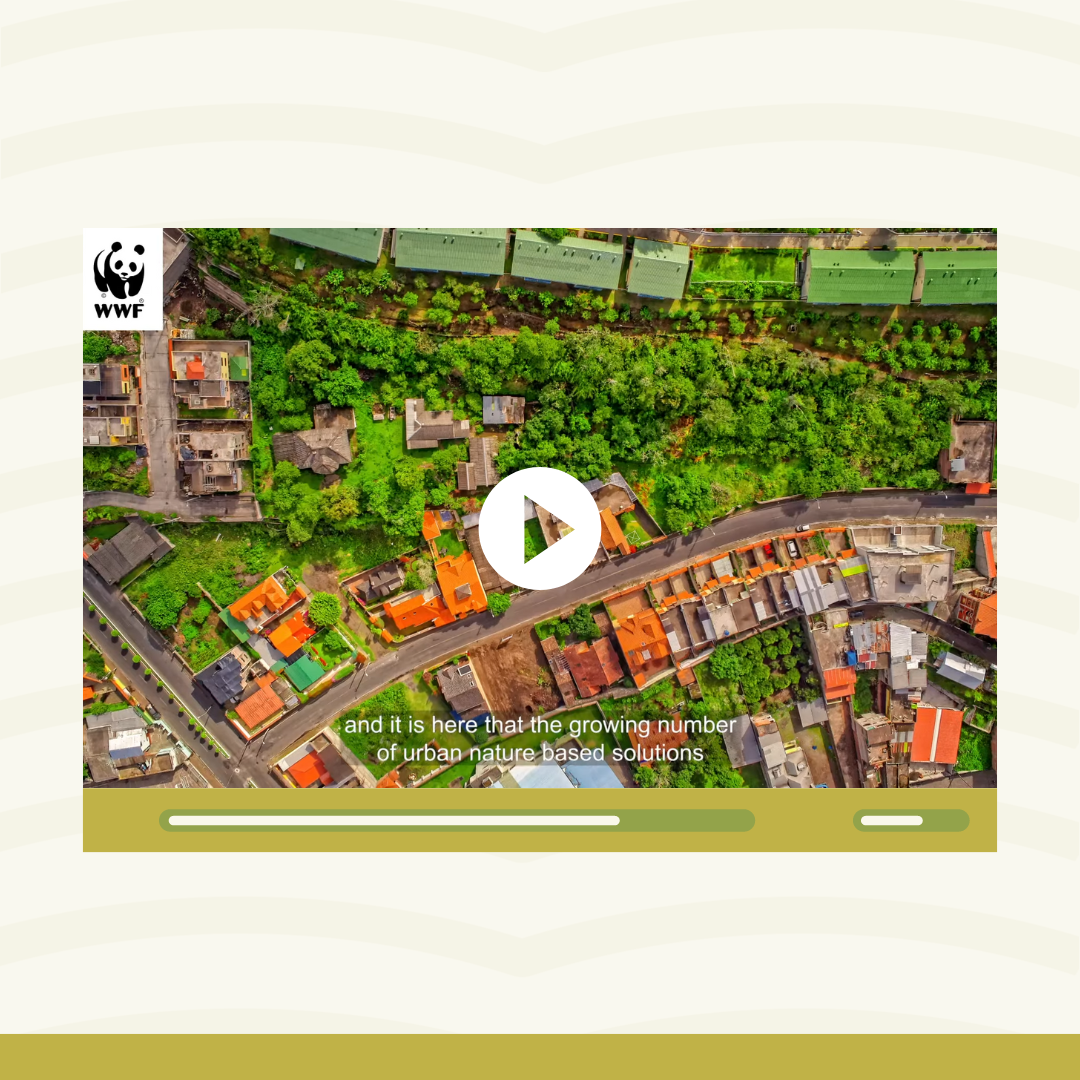 Urban Nature-based Solutions: What are they and why are they so important?