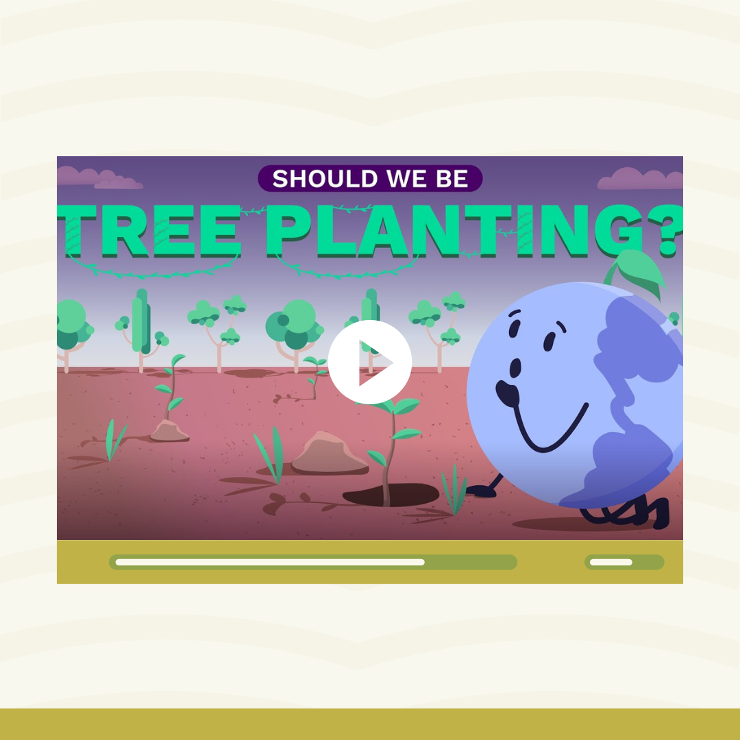 Planting Trees: Can Trees Undo Climate Change? | ClimateScience #5