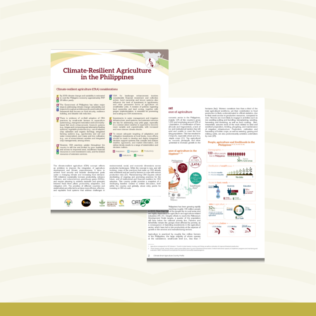 Climate-Resilient Agriculture in the Philippines