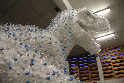 aec3fa5f-de49-495e-92f3-5d7845404b04_IMG_5129.jpeg