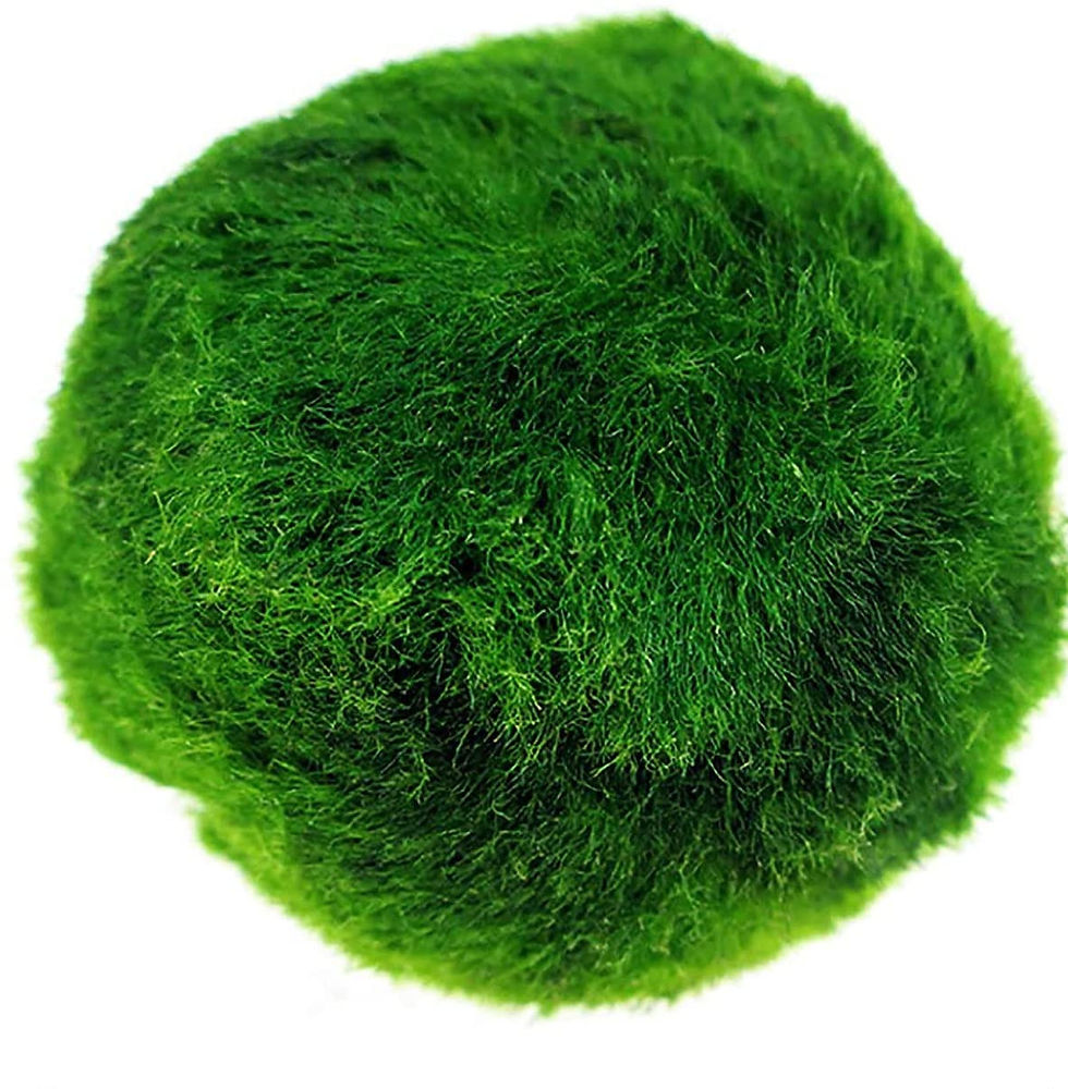 Thumbnail: Mario Moss Ball