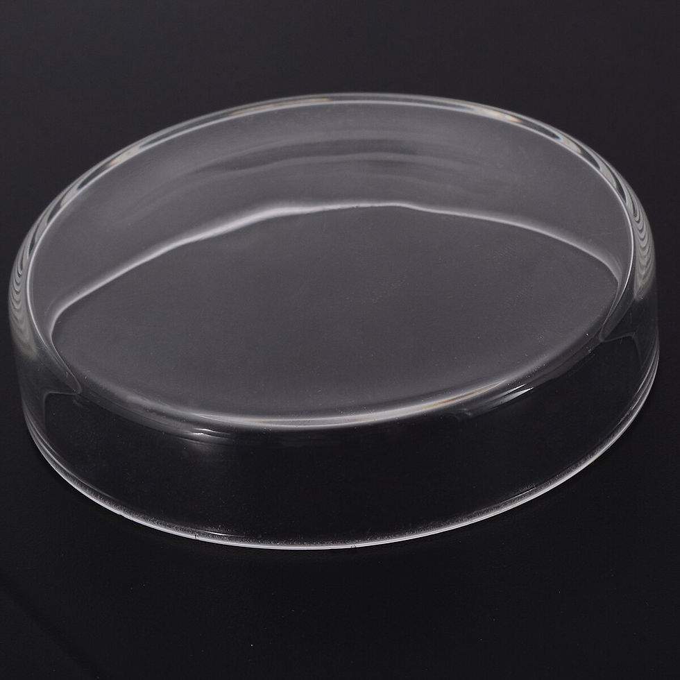 Thumbnail: Shrimp Feeding Dish