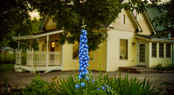 WhatsApp Image 2025-09-04 at 18.03.31_60db78e6.jpg