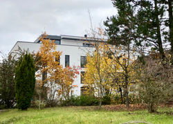 STEINFORT