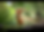 G77A8464_1.png