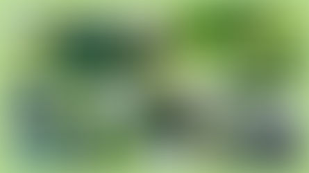 Sistema Constructivo Bloqueplás